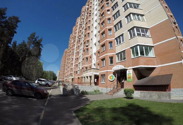 Моларис ул хрипунова 1 микрорайон центральный фото