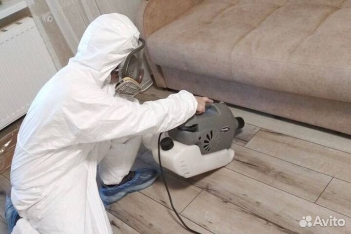 Дезинфекция. Уничтожение клопов, тараканов, мышей