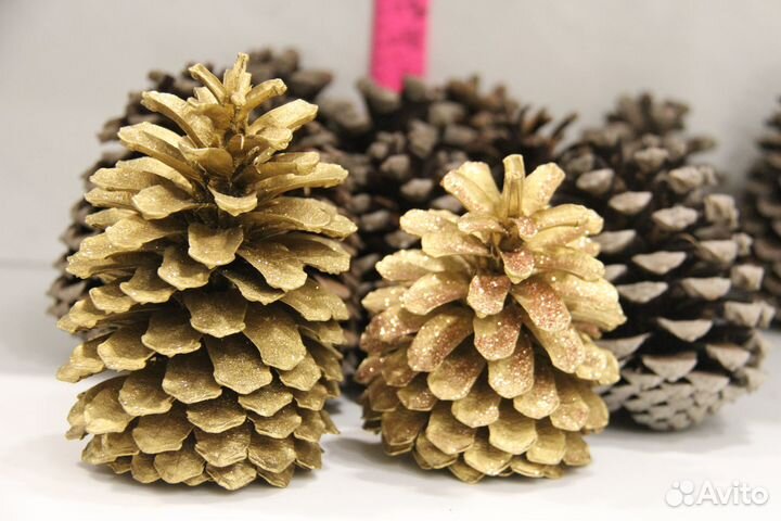 Шишки в ассортименте