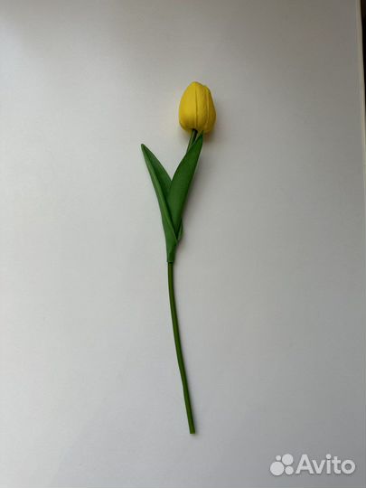 Латексные тюльпаны