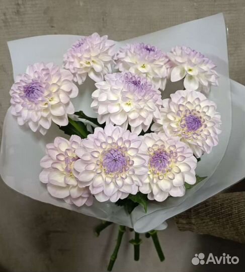 Цветы с грядки на 1 сентября и для украшения дома