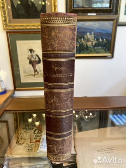 Брэм.Жизнь животных. Т.2, в удовл. сост