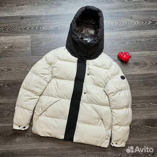 Зимние куртки Moncler