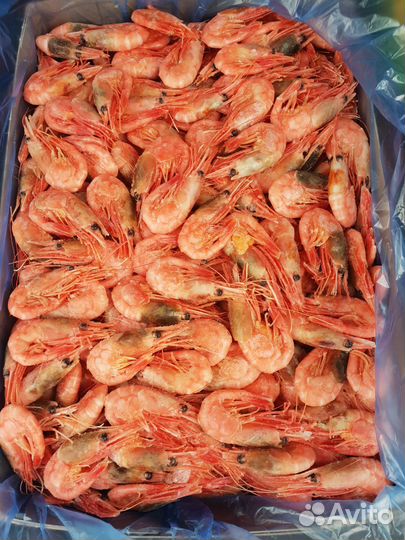 Креветка северная 90/120, 60/80