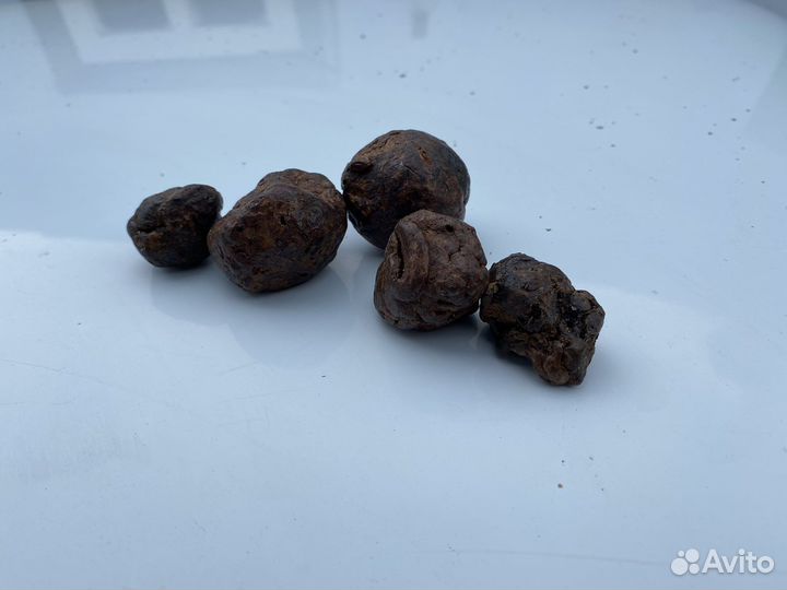Прополис пчелиный