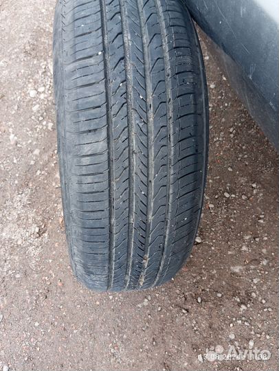 Accelera Accelera Summer 185/60 R14