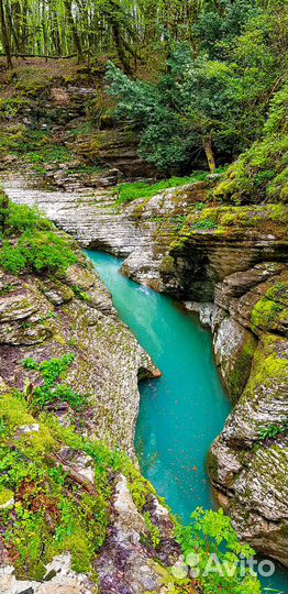 Экскурсии Сочи (индивидуально)