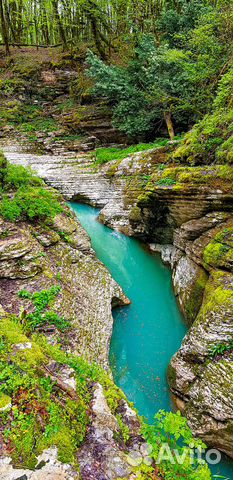 Экскурсии Сочи (индивидуально)