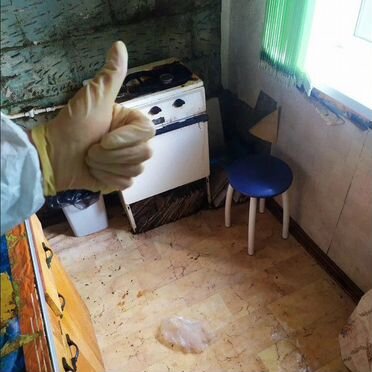 Уничтожение клопов и тараканов. Дезинфекция