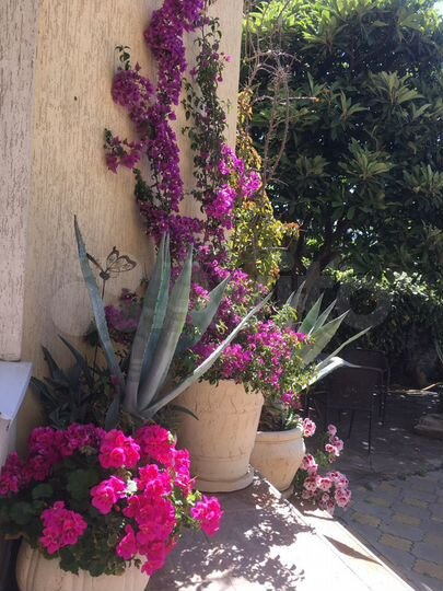 Дом 500 м² на участке 10 сот.