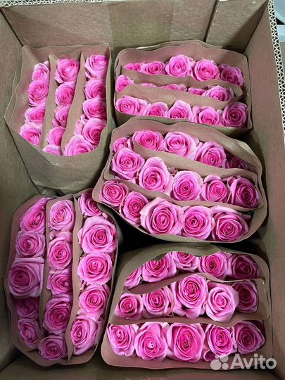 Роза без посредников. Букеты от 15 роз