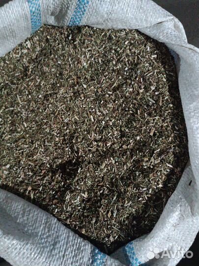 Трава череды