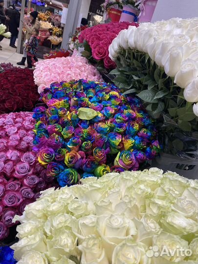 Эквадорские розы