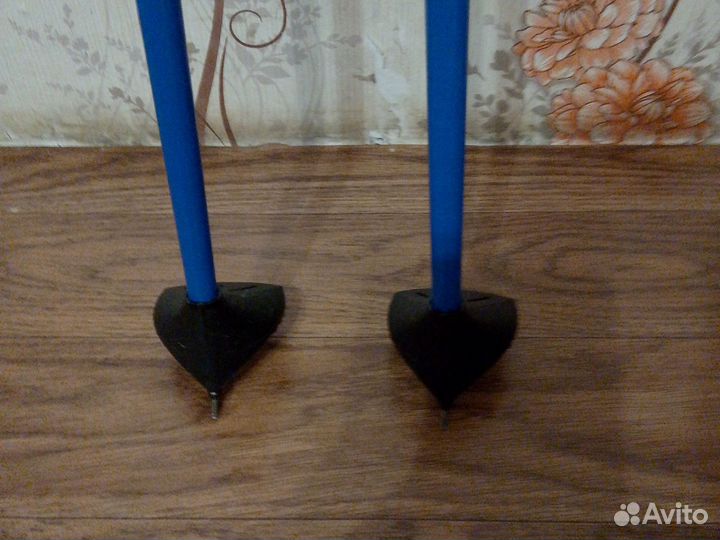 Лыжные палки