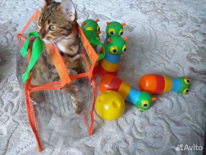 Кегли детские