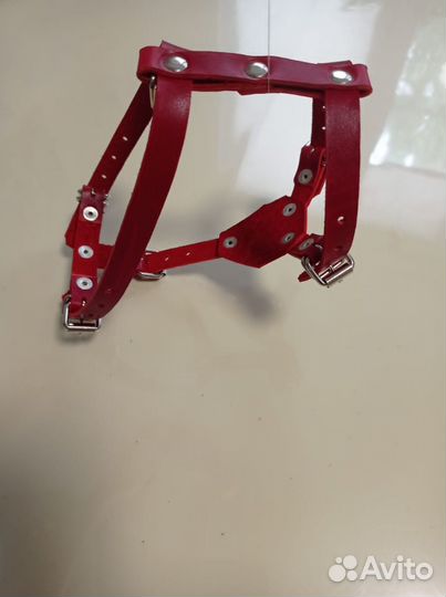 Шлейка для собак