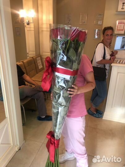 Высокие розы гигантские розы длинные розы