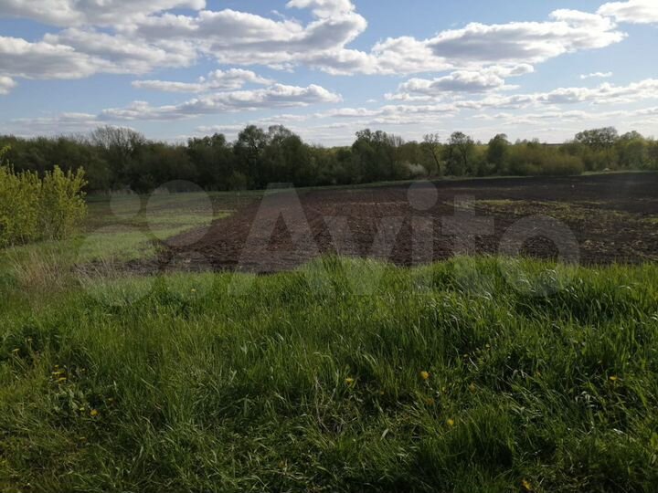 Дом 100 м² на участке 50 сот.