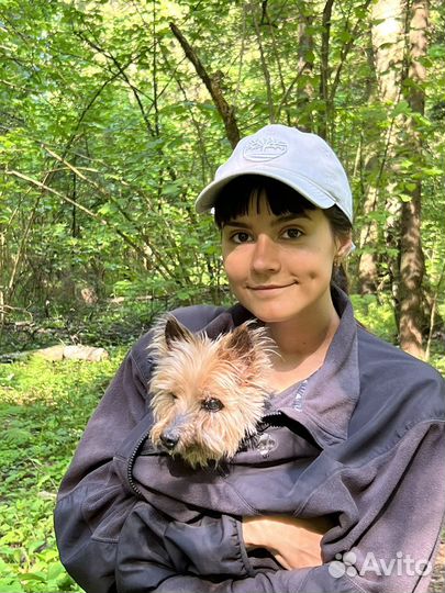 Выгул собак зеленоград