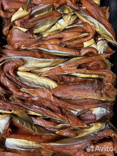 Холодного копчения горбуша, скумбрия, тунец, масл