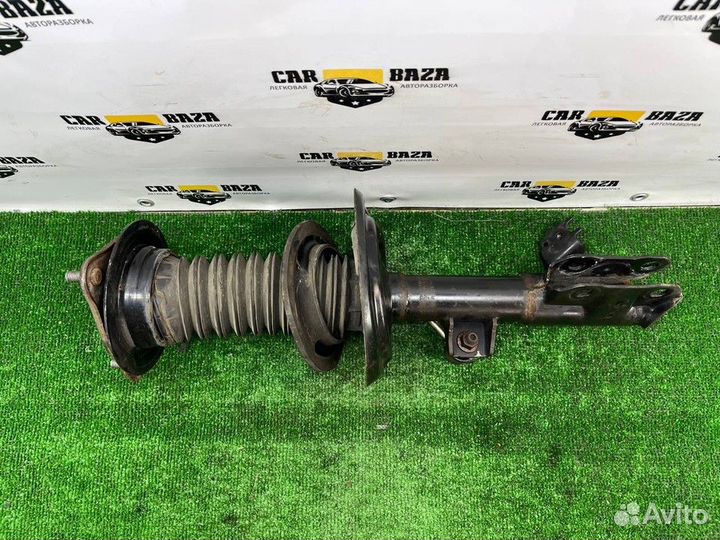 Стойка переднего амортизатора правая R Toyota RAV4