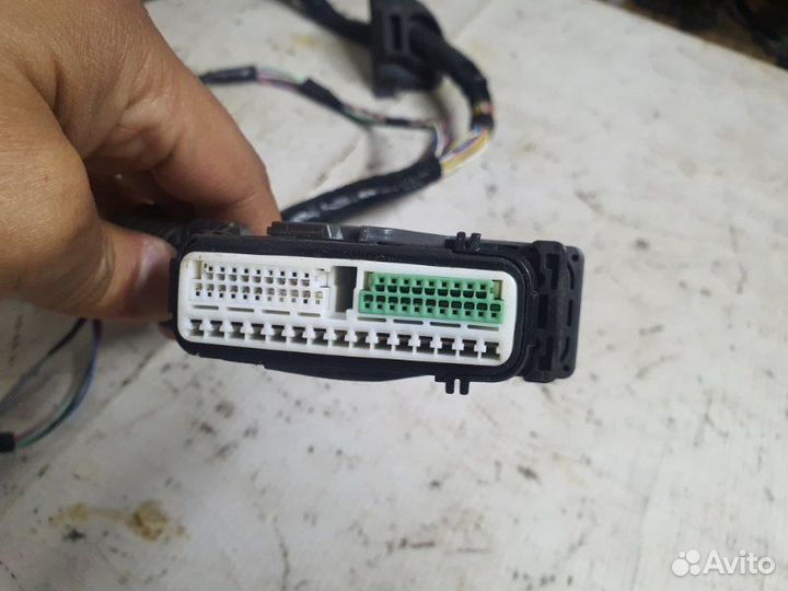 Жгут (коса) проводов двери передний правый Nissan