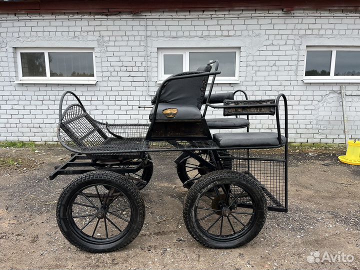 Драйвинг экипаж для лошади