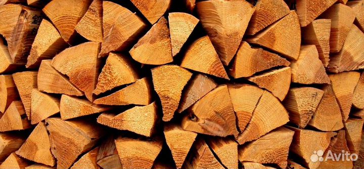 Дрова понимающих