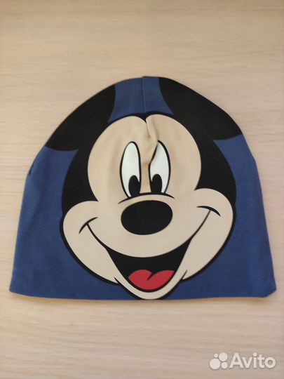 Шапка детская демисезонная мальчик 2-5 лет
