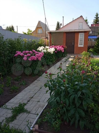 Дача 30 м² на участке 5,5 сот.