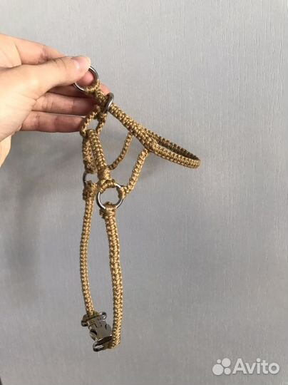 Недоуздок для собак халти ручной работы