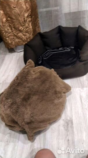 Лежанка для животных