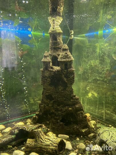 Аквариум с тумбой juwel 350 л