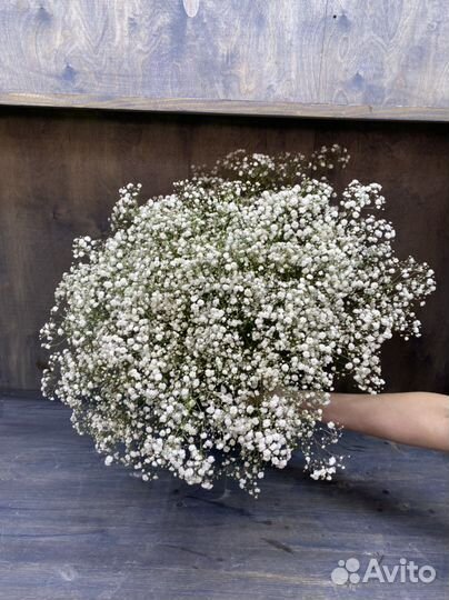 Букет из гипсофилы