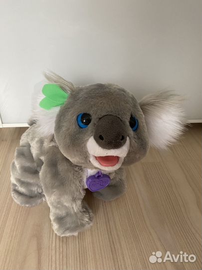 Furial friends Коала