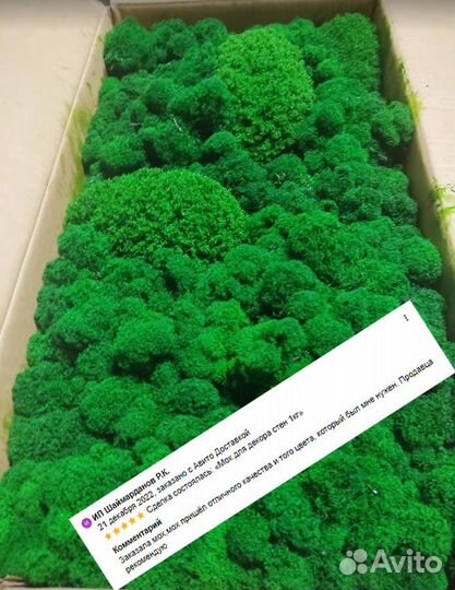 Стабилизированный мох для эко-дизайна