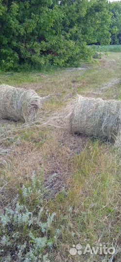 Продам сено в тюках