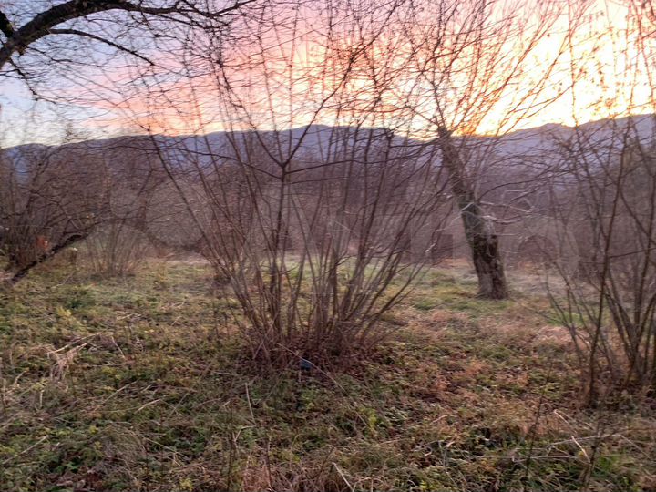 Дом 55 м² на участке 20 сот.