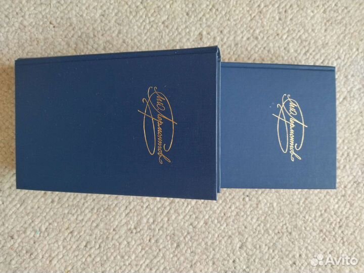 Лермонтов М.Ю. - 2 тома