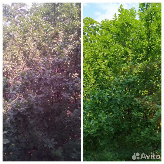 Тонировочная пленка тонировка китайка