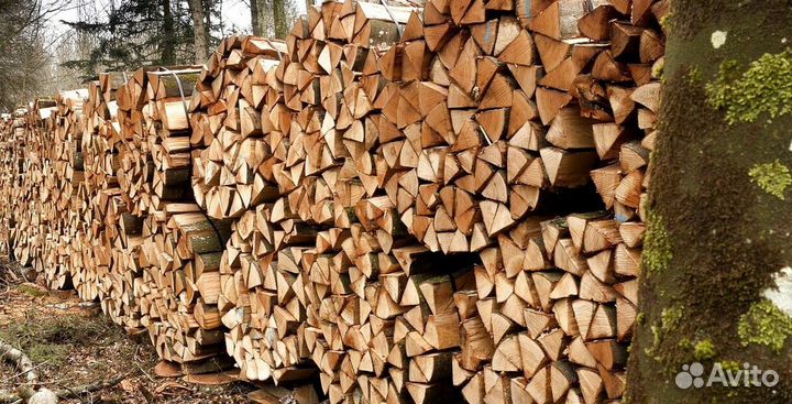 Дрова в ло