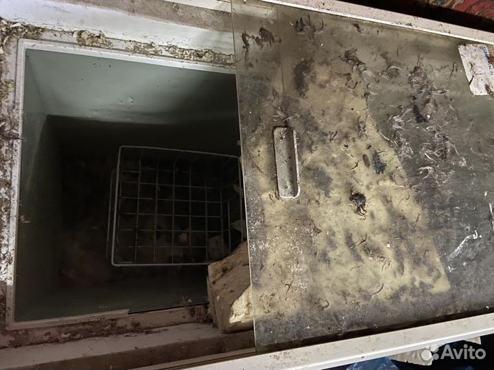 Морозильный ларь бу. Торг