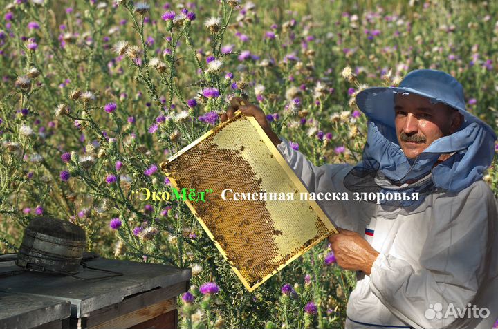 Мёд с собственной пасеки