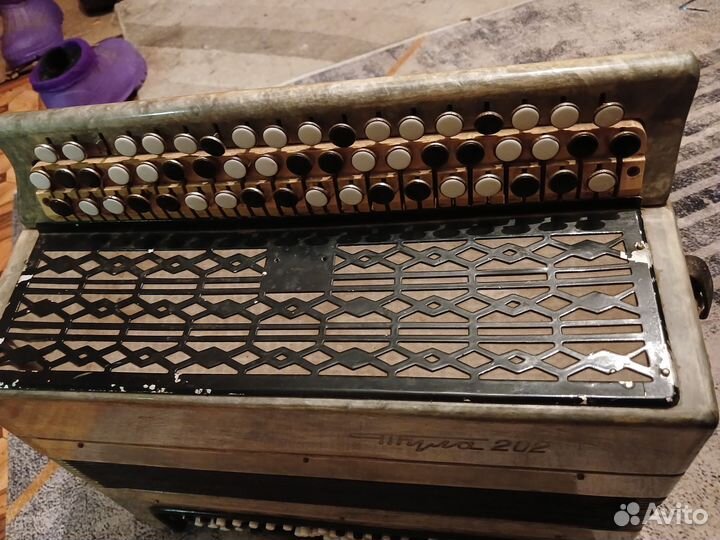 Баян тульский