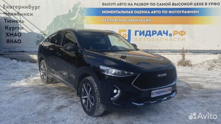 Проводка двери задней левой Haval F7x 24002103XKQ00A