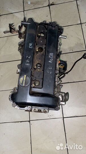 Двигатель Ford Focus 2 2.0 A0DA