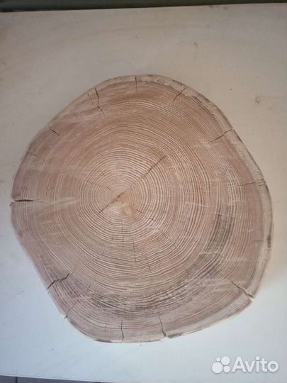 Спилы дерева