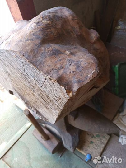 Сувель березовый