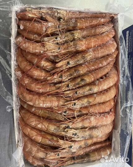 Креветки Ваннамей Лангустины Мидии Кальмар Чука