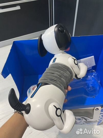 Собака робот